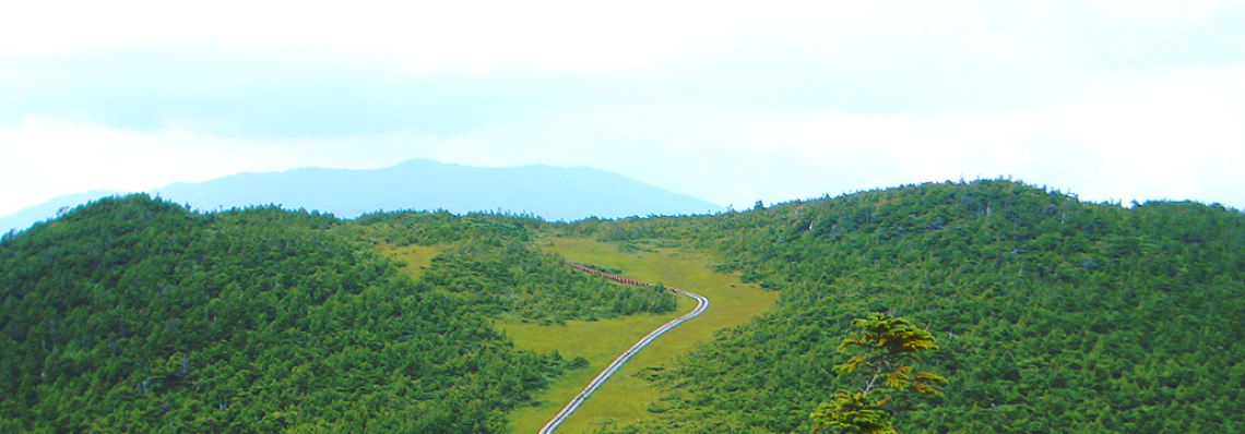 メインイメージ